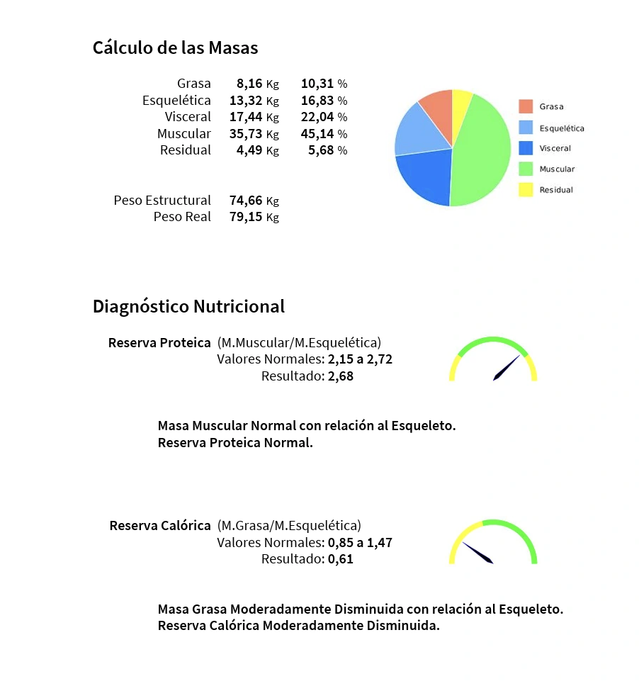 Bericht mit der Berechnung der Massen und der Ernährungsdiagnose